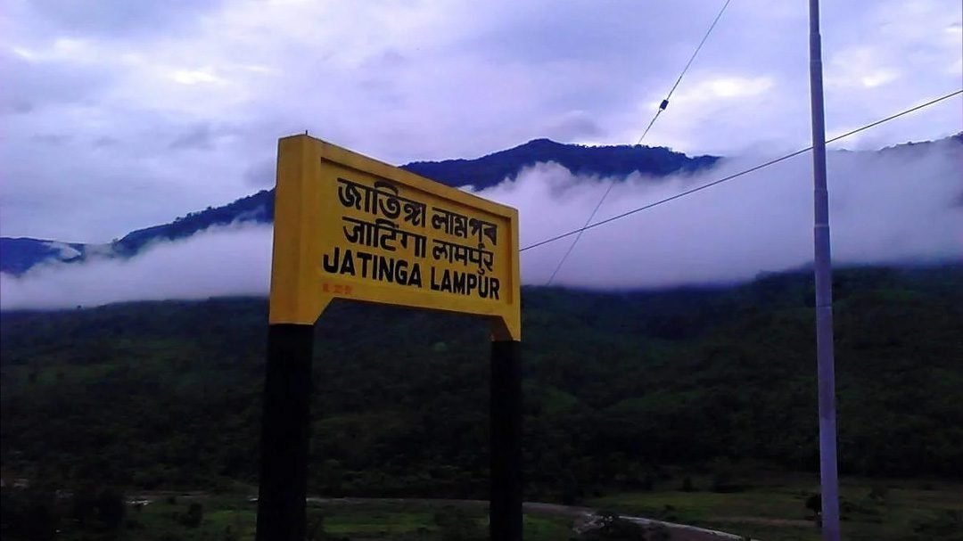 Jatinga Valley Bharat Viral News